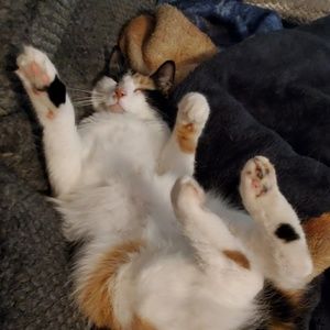 Meet your Posher, Kathy